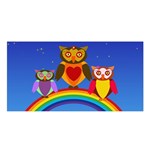 Owls Rainbow Animals Birds Nature Satin Shawl Front