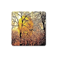 Summer Sun Set Fractal Forest Background Square Magnet by Amaryn4rt