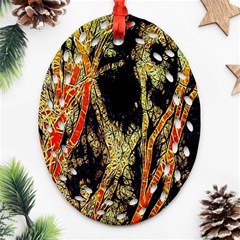 Artistic Effect Fractal Forest Background Oval Filigree Ornament (two Sides)