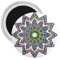 Decorative Ornamental Design 3  Magnets