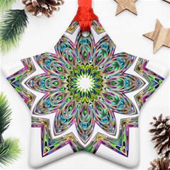 Decorative Ornamental Design Ornament (star)