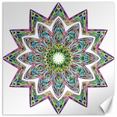 Decorative Ornamental Design Canvas 20  X 20  