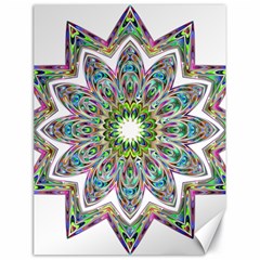 Decorative Ornamental Design Canvas 18  X 24  