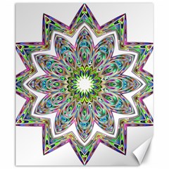 Decorative Ornamental Design Canvas 20  X 24  