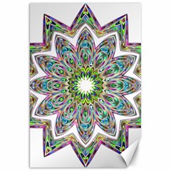 Decorative Ornamental Design Canvas 20  X 30  