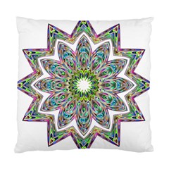 Decorative Ornamental Design Standard Cushion Case (one Side)