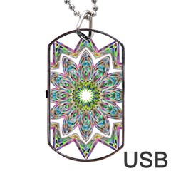 Decorative Ornamental Design Dog Tag Usb Flash (two Sides) by Amaryn4rt