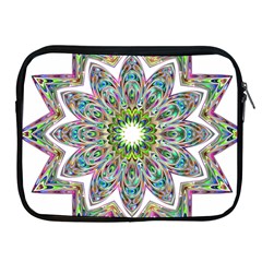 Decorative Ornamental Design Apple Ipad 2/3/4 Zipper Cases by Amaryn4rt