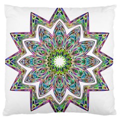 Decorative Ornamental Design Standard Flano Cushion Case (two Sides)