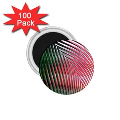 Watermelon Dream 1 75  Magnets (100 Pack)  by Simbadda