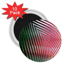 Watermelon Dream 2 25  Magnets (10 Pack)  by Simbadda