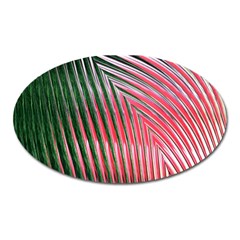 Watermelon Dream Oval Magnet by Simbadda