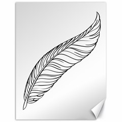 Feather Line Art Canvas 18  X 24   by Simbadda