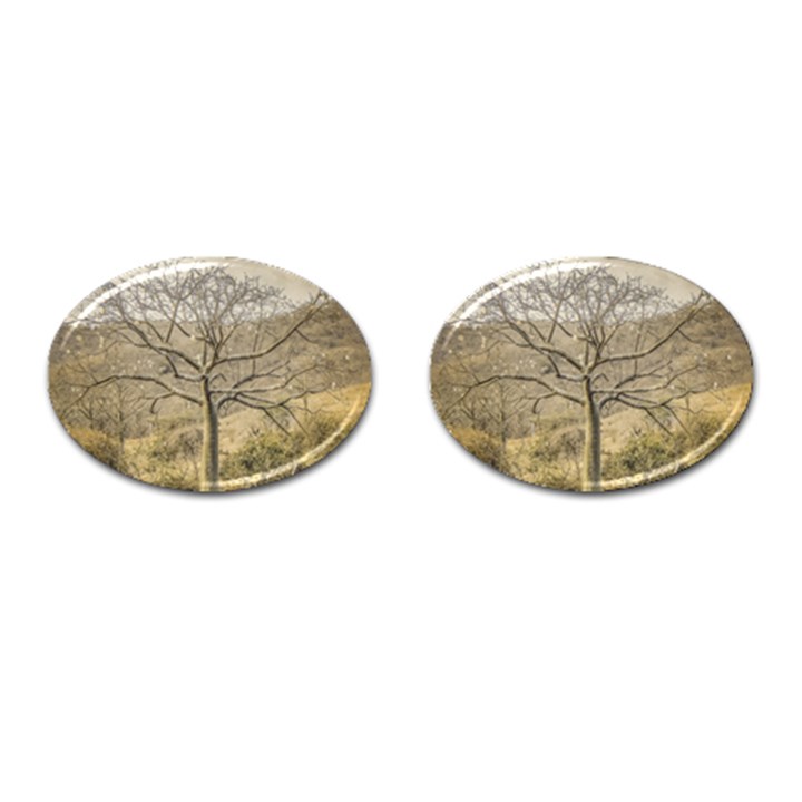 Ceiba Tree At Dry Forest Guayas District   Ecuador Cufflinks (Oval)