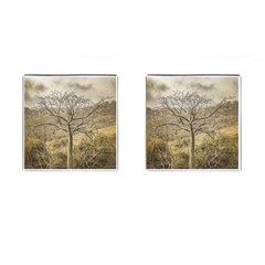 Ceiba Tree At Dry Forest Guayas District   Ecuador Cufflinks (square) by dflcprints