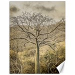 Ceiba Tree At Dry Forest Guayas District   Ecuador Canvas 12  x 16   11.86 x15.41  Canvas - 1