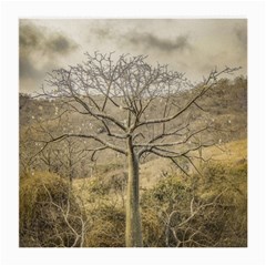 Ceiba Tree At Dry Forest Guayas District   Ecuador Medium Glasses Cloth by dflcprints