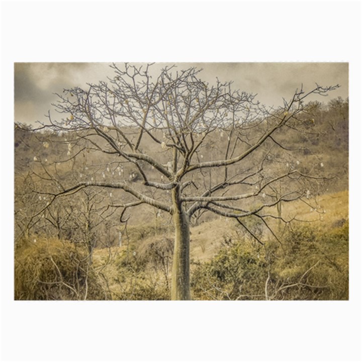 Ceiba Tree At Dry Forest Guayas District   Ecuador Large Glasses Cloth (2-Side)