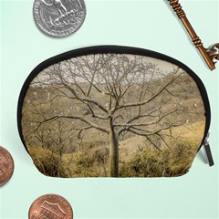 Ceiba Tree At Dry Forest Guayas District   Ecuador Accessory Pouches (large)  by dflcprints