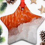 Abstract Angel Bass Beach Chef Star Ornament (Two Sides) Back