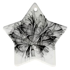 High Detailed Resembling A Flower Fractalblack Flower Ornament (star) by Simbadda