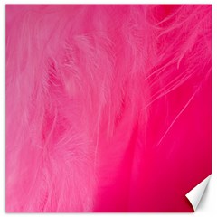 Very Pink Feather Canvas 12  X 12   by Simbadda