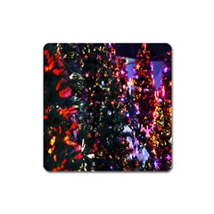 Lit Christmas Trees Prelit Creating A Colorful Pattern Square Magnet