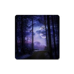 Moonlit A Forest At Night With A Full Moon Square Magnet by Simbadda