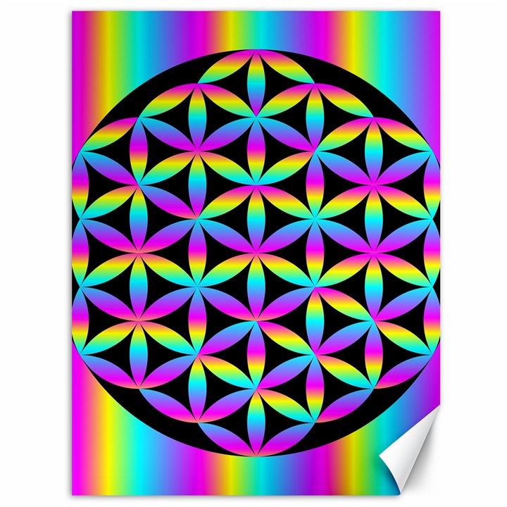 Flower Of Life Gradient Fill Black Circle Plain Canvas 36  x 48  