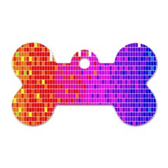 Square Spectrum Abstract Dog Tag Bone (two Sides) by Simbadda