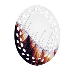 Abstract Lines Oval Filigree Ornament (two Sides) by Simbadda