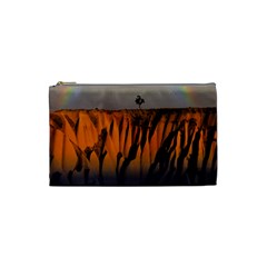 Rainbows Landscape Nature Cosmetic Bag (small)  by Simbadda