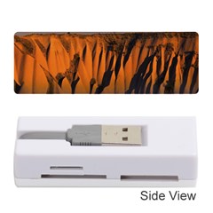 Rainbows Landscape Nature Memory Card Reader (stick)  by Simbadda