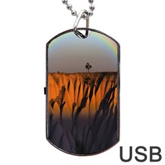 Rainbows Landscape Nature Dog Tag Usb Flash (two Sides) by Simbadda