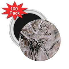 Earth Landscape Aerial View Nature 2 25  Magnets (100 Pack)  by Simbadda