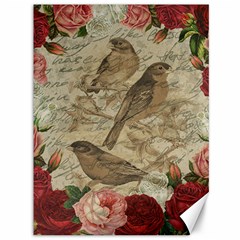 Vintage Birds Canvas 36  X 48   by Valentinaart