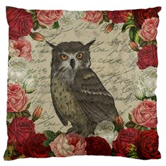 Vintage Owl Large Flano Cushion Case (one Side) by Valentinaart