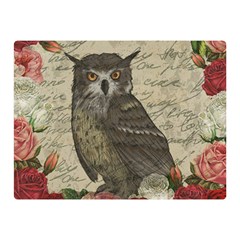 Vintage Owl Double Sided Flano Blanket (mini)  by Valentinaart