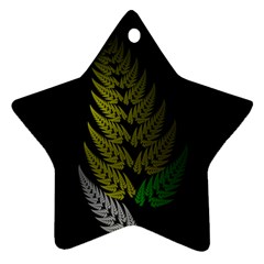 Drawing Of A Fractal Fern On Black Star Ornament (Two Sides)