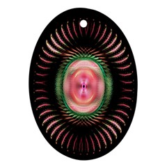 Fractal Plate Like Image In Pink Green And Other Colours Ornament (oval) by Simbadda