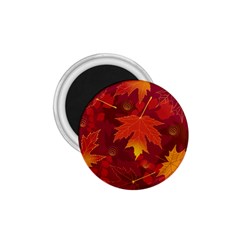 Autumn Leaves Fall Maple 1 75  Magnets by Simbadda