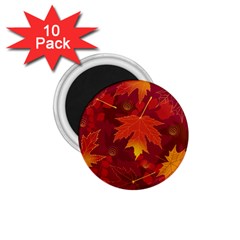 Autumn Leaves Fall Maple 1 75  Magnets (10 Pack)  by Simbadda