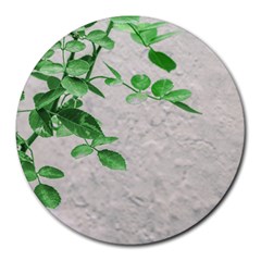 Plants Over Wall Round Mousepads by dflcprints