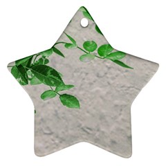 Plants Over Wall Ornament (star) by dflcprints