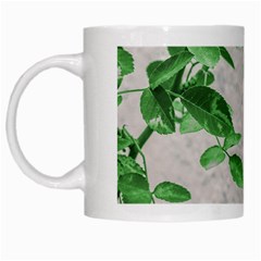 Plants Over Wall White Mugs by dflcprints