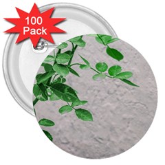 Plants Over Wall 3  Buttons (100 Pack)  by dflcprints