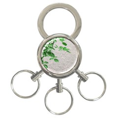 Plants Over Wall 3-ring Key Chains by dflcprints