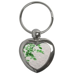 Plants Over Wall Key Chains (heart)  by dflcprints