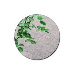 Plants Over Wall Rubber Coaster (round)  by dflcprints