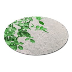 Plants Over Wall Oval Magnet by dflcprints